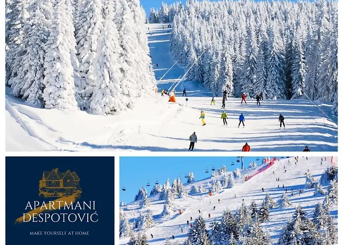 Despotovic Daire Kopaonik